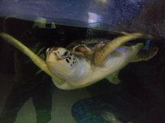 -福州罗源湾海洋世界旅游区