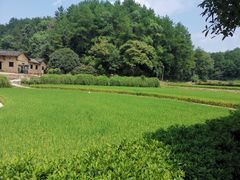 -韶山毛泽东同志故居