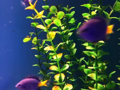 -青岛海底世界-水族馆