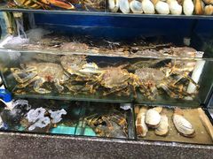 -蚝专家(北滘店)