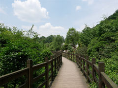 -凤栖山
