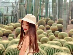 -南山植物园