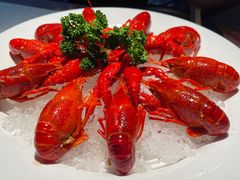 冰镇小龙虾-沪小胖·小龙虾(八佰伴店)