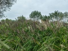 -汉长安城未央宫国家考古遗址公园