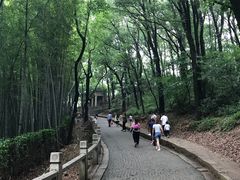 -灵岩山风景区