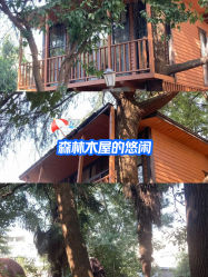 -苏瑜伽