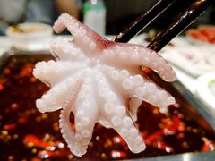 八爪鱼-小牛叔鲜切牛肉·火锅·烤肉自助(公济桥路店)