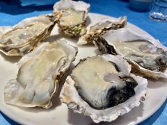 -千岛蚝高压锅生蚝·人参火锅(白云万达店)