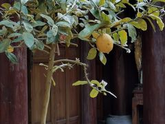 -石峰岩寺