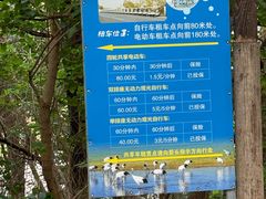-盐城丹顶鹤湿地生态旅游区