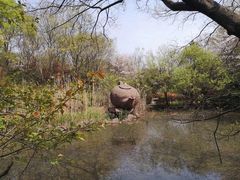 -南京市江宁方山