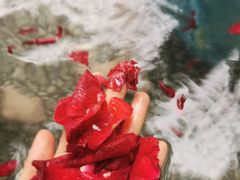 -厦门日月谷温泉渡假村