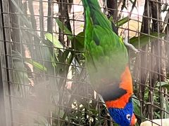 -大连森林动物园