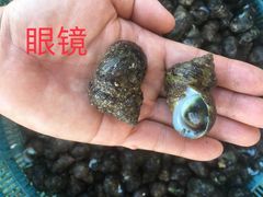 -硇洲岛旅游区