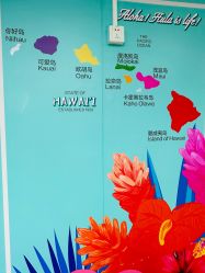 -呼拉汇舞蹈生活馆 Hawaii Hula&Tahiti Dance Studio