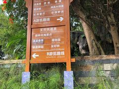 -广州市流溪河国家森林公园