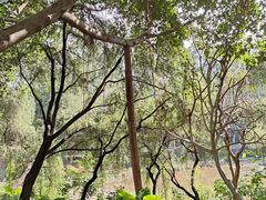 -广东金融学院(校本部)