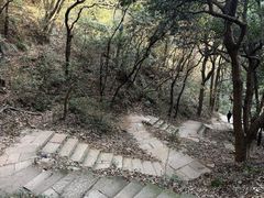 -杭州半山国家森林公园