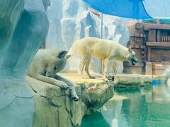 -秦皇岛乐岛海洋王国