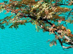 -叠溪松坪沟景区