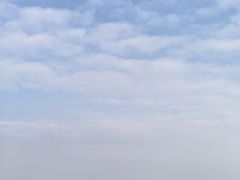 -洋湖国家湿地公园