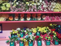 点击看大图 -幻贝家儿童乐园(苏州中心店)