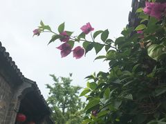 -万达影城(银兴菲林店)