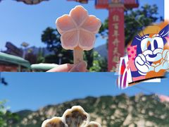 -北京凤凰岭
