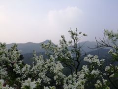 -木兰云雾山