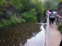 -峡谷浮石林景区