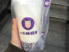 -一只酸奶牛(奎星楼店)
