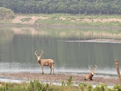 -黄海国家森林公园