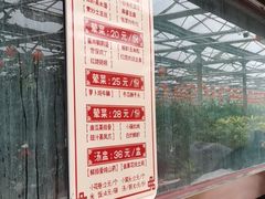 -南宫五洲植物乐园