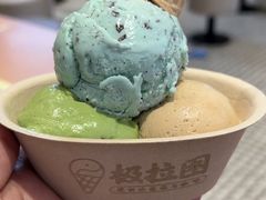 -极拉图·现制冰淇淋(大卫城店)