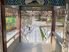 -团结湖公园