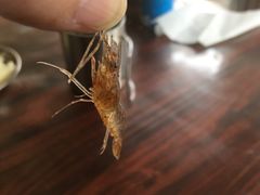 -宋记冕宁土菜馆(海门渔村二店)