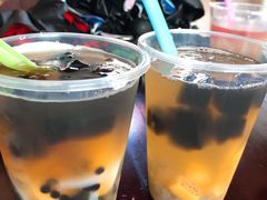 -海丝金凤(金鱼店)