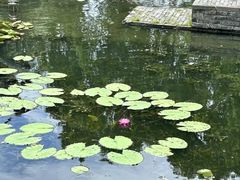 -西湖游船