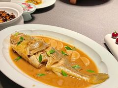 东海大黄鱼烧年糕-四季小馆·潤·中国菜(越秀公园店)