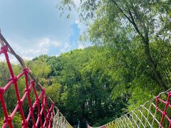 -常州淹城野生动物世界