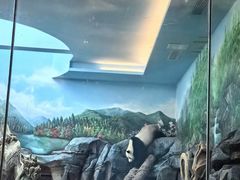 -武汉动物园