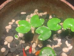 -曲水兰亭(北京四惠店)