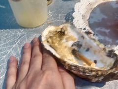 -皮记海鲜1995(寮步店)