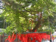 -红螺寺