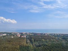 -日照海滨国家森林公园