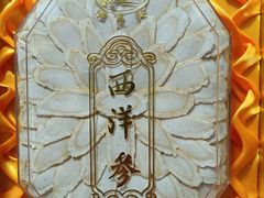 -上海市第一医药商店(南京东路店)