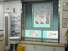 -爱侣宠医·鹦鹉专科·小型哺乳类·异宠专科(灵石路店)