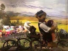 -济州岛泰迪熊博物馆