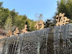 -宁波浙东大竹海景区