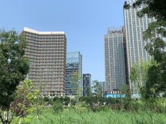 -西海子公园